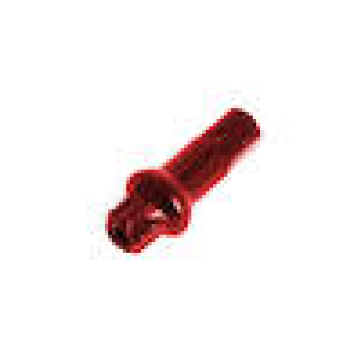 1 DT-Swiss Alu-Nippel Squorx Pro Head Pro Lock rot für 2,0 mm Speichen